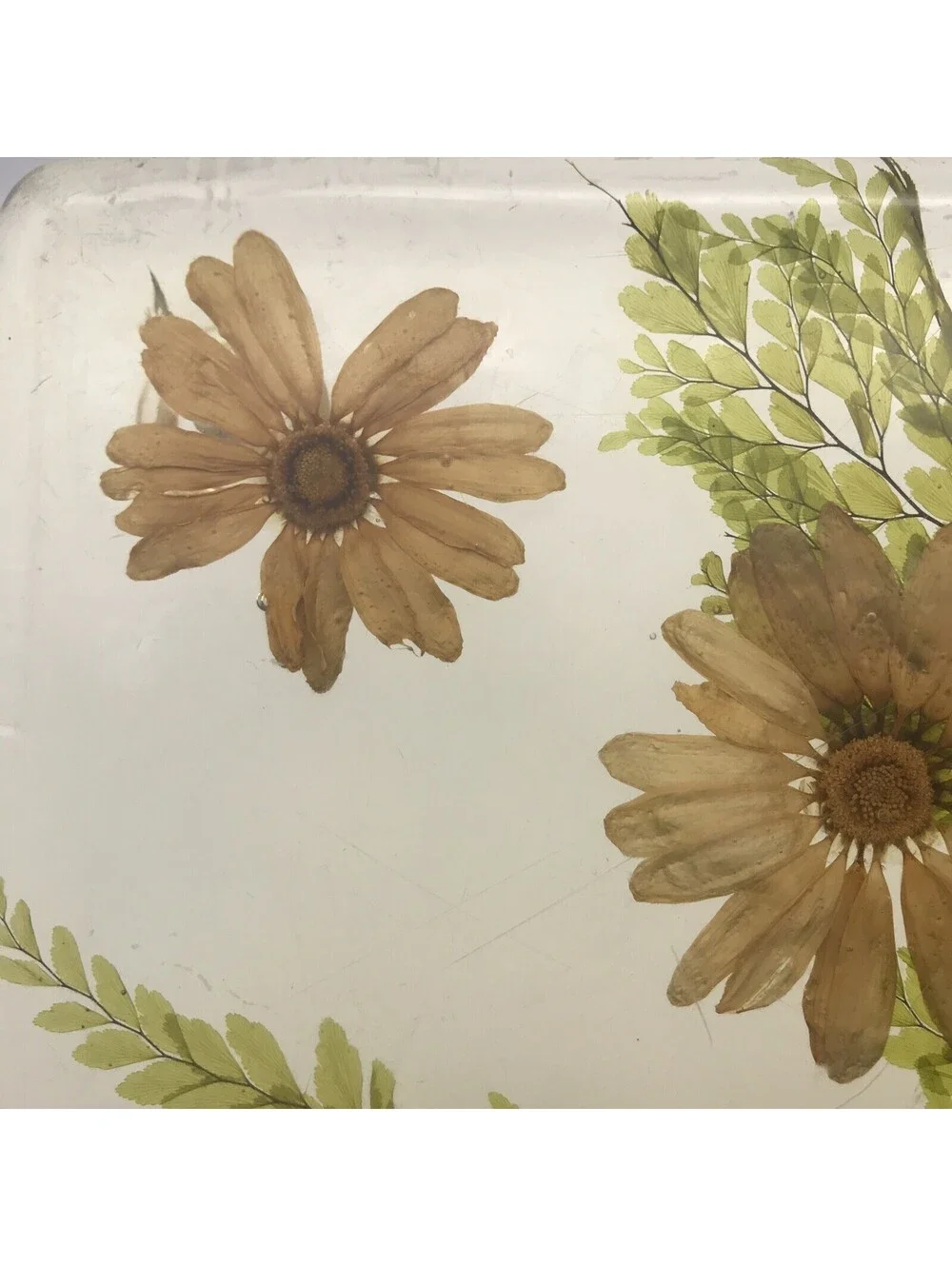 Vintage Acrylic Resin Trivet Daisy Fern Dried Flowers 7.75” Square MCM Footed